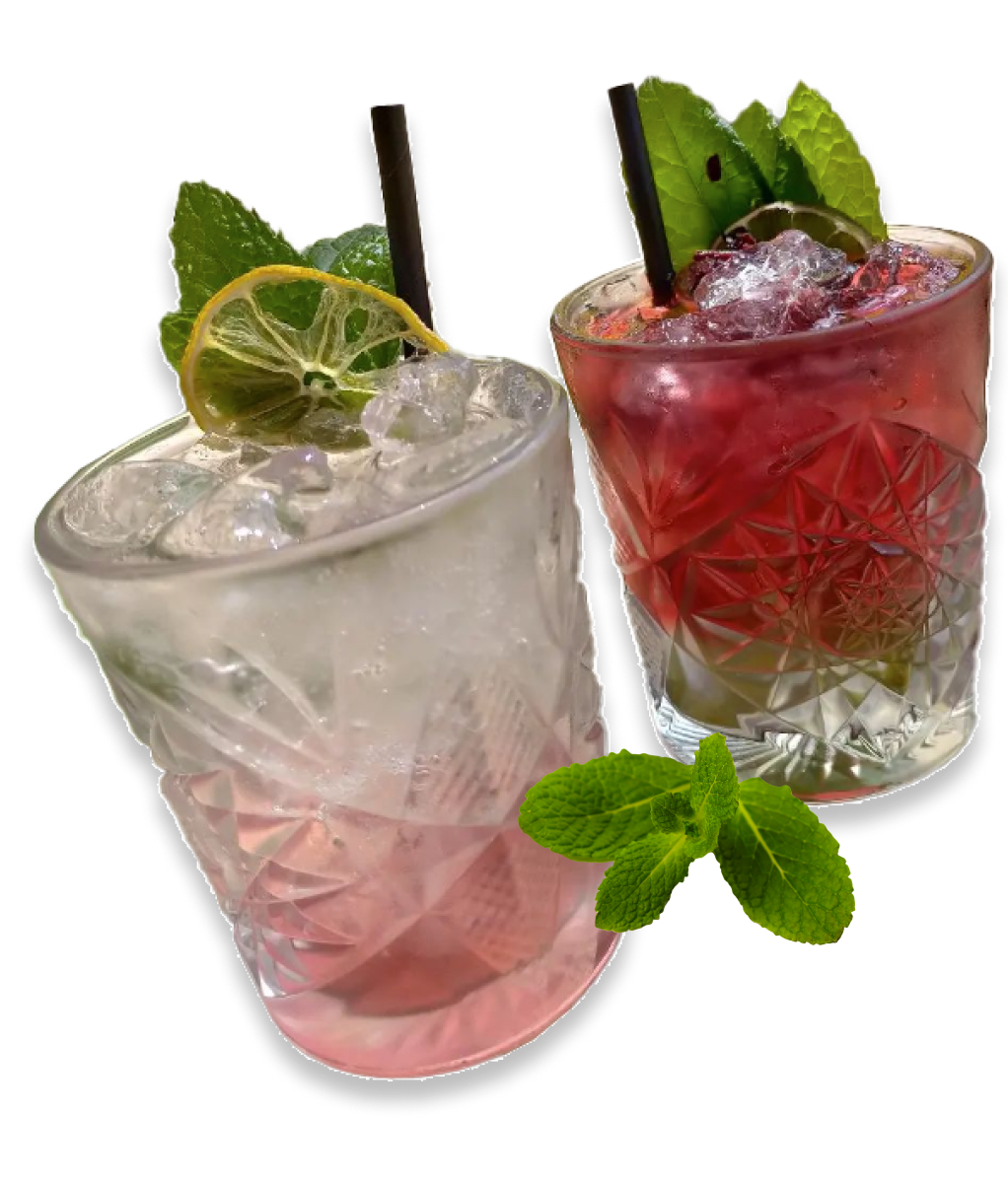 Two refreshing cocktails in textured glasses filled with ice and garnished with mint leaves. The cocktail on the left is light pink with a slice of lime, while the one on the right is a deeper red with a berry on top. A small sprig of mint is placed in front, perfect additions to any menu. | Megalong Valley Tea Rooms