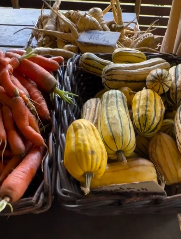 Baskets of fresh vegetables on display, featuring a variety of carrots on the left and striped squash to the right. A sign at the top reads 