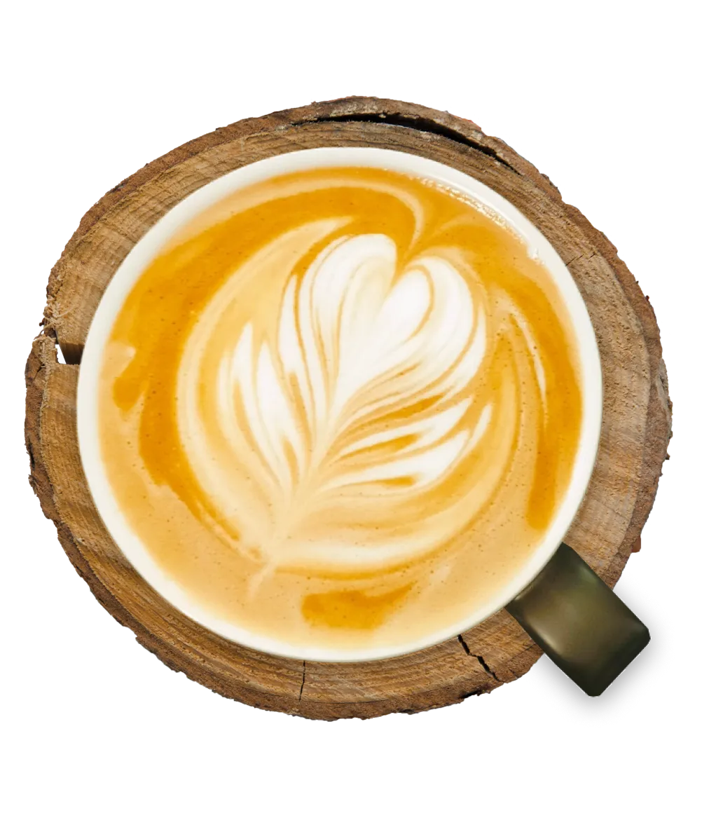 A latte in a white cup has an elaborate leaf design created with milk foam. The cup is placed on a rustic, round wooden coaster with visible cracks and texture. The latte art is detailed, featuring swirled white and beige tones, making it the perfect addition to any cafe menu. | Megalong Valley Tea Rooms
